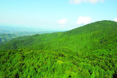 陕西近20年来退耕还林1861.5万亩 居全国第一