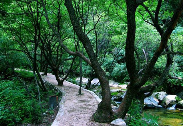 8月13日 渭南文化旅游资讯微报（组图）(图12)