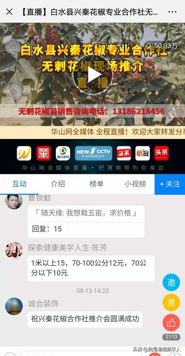 50万人“围观”渭视无刺花椒现场会