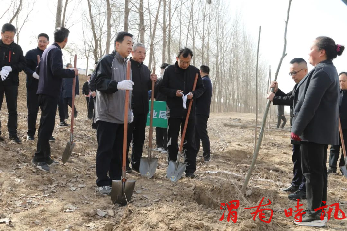 韩城市四大班子领导参加义务植树活动(图1)