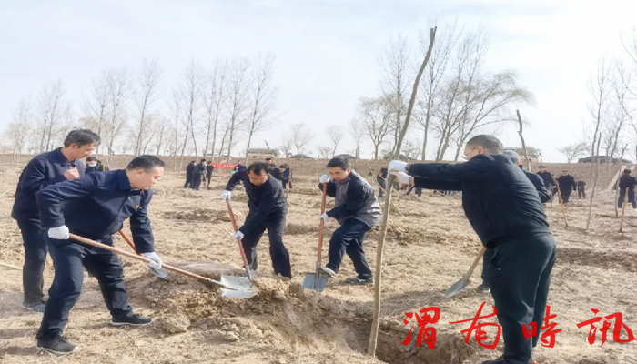 韩城市四大班子领导参加义务植树活动(图2)