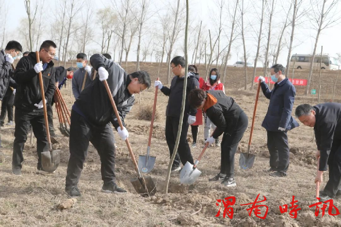 韩城市四大班子领导参加义务植树活动(图3)
