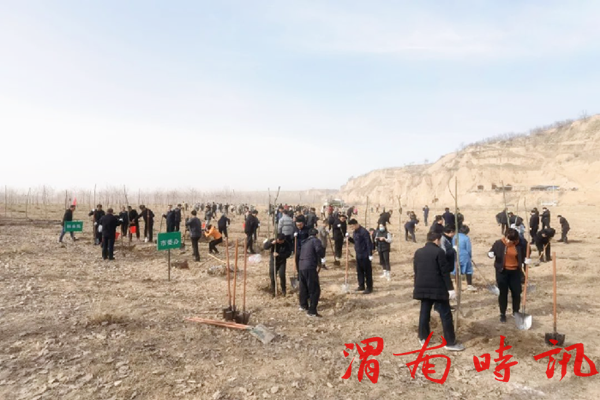 韩城市四大班子领导参加义务植树活动(图4)