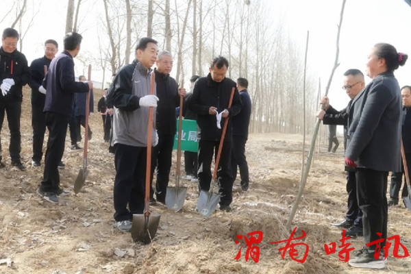 韩城市四大班子领导参加义务植树活动