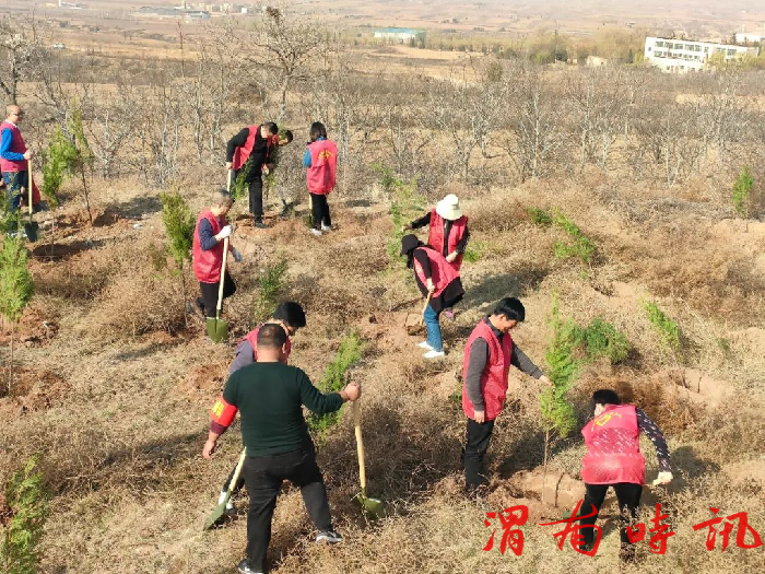 澄城县开展义务植树活动(图2)