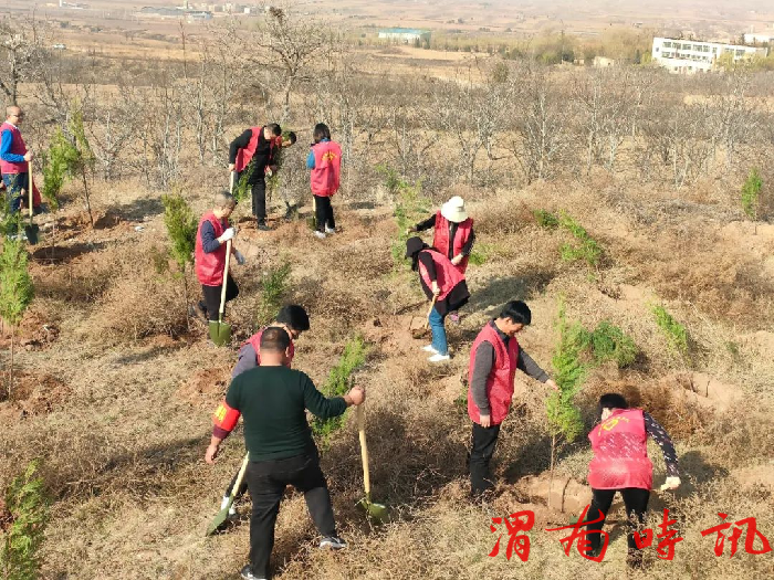 澄城县开展义务植树活动