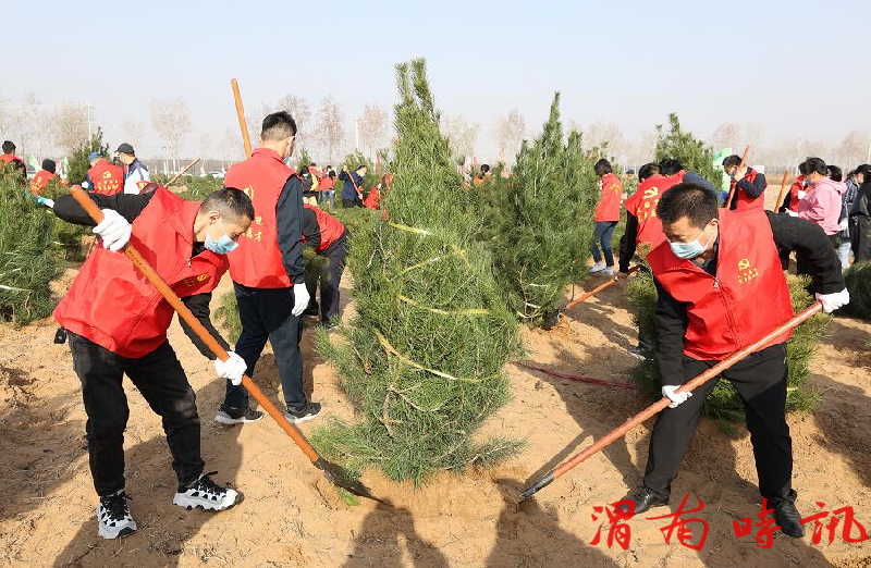 大荔县文化和旅游局开展春季义务植树活动