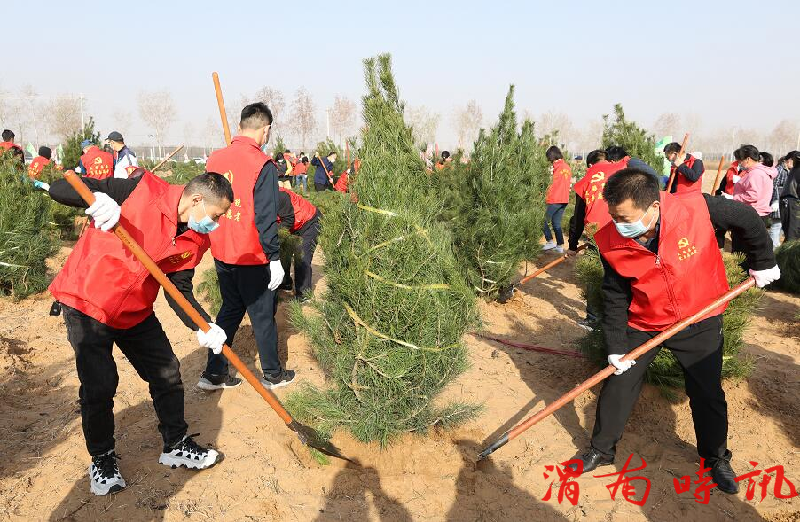 大荔县文化和旅游局开展春季义务植树活动(图1)