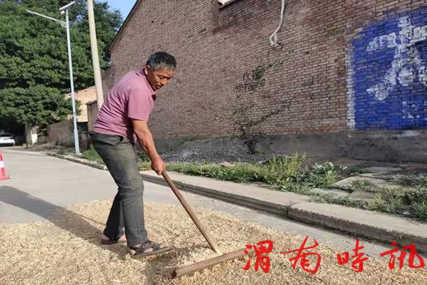 收  麦(图1)