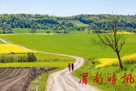 乡间小路