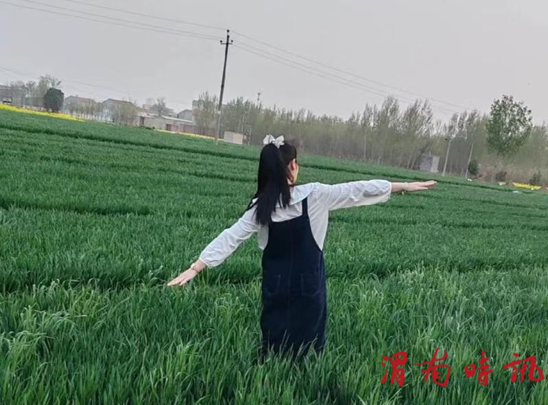 春天(图2)