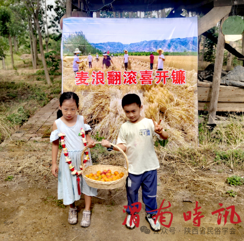 传承农耕记忆，共赴麦香之约​​——陕西省民俗学会成功举办“关中麦香 颗粒归仓”三夏农事传承体验活动 (图6)