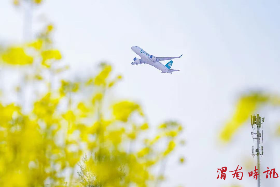 在丝路起点播种春天——记T5航站楼站前花海攻坚中的银发力量与青春担当(图4)