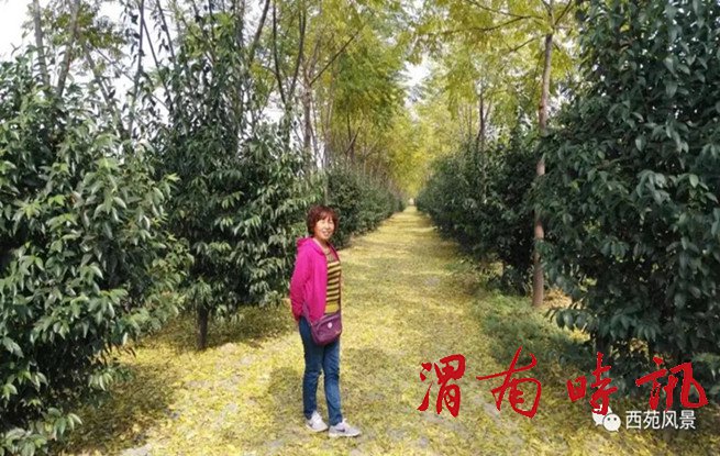 微信图片_20210911171945